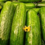 Τι συμβαίνει όταν η υγιεινή διατροφή δεν έχει να κάνει με το λάχανο και το αβοκάντο, αλλά με την οικονομική προσιτότητα: πώς να τρέφεστε σωστά χωρίς να πληγώνετε το πορτοφόλι σας unnamed-file.jpg